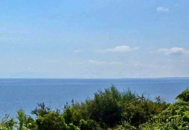 (For Sale) Land Plot || Corfu (Kerkira)/Corfu Chora (Kerkira) - 100.000 Sq.m, 5.500.000€ 