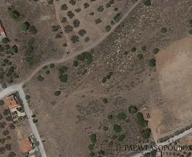 (For Sale) Land Plot || Korinthia/Loutraki-Perachora - 30.000 Sq.m, 225.000€ 