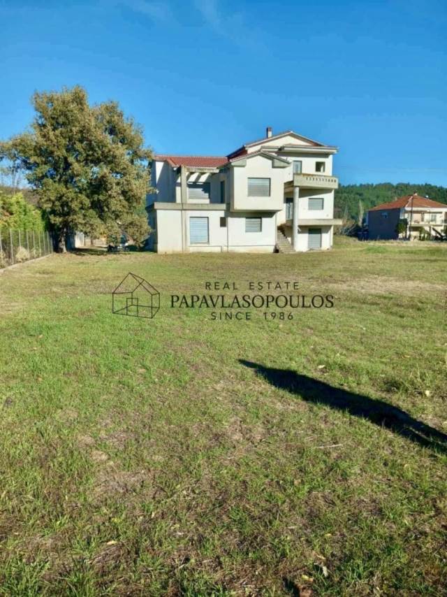 (For Sale) Residential Detached house || Trikala/Vasiliki - 250 Sq.m, 4 Bedrooms, 320.000€ 