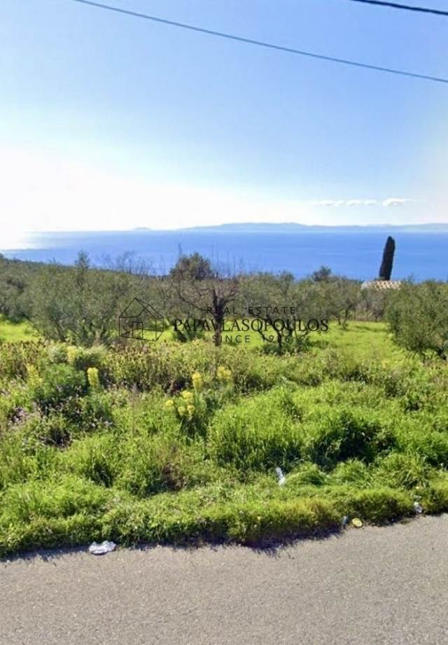 (For Sale) Land Plot || Messinia/Lefktro-Kardamyli - 1.835 Sq.m, 200.000€ 