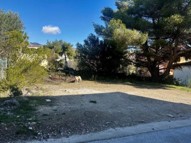 (For Sale) Land Plot || East Attica/Anthousa - 427 Sq.m, 120.000€ 