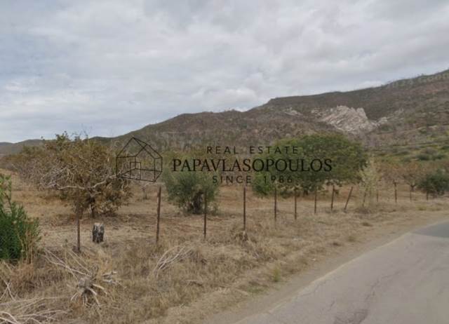 (For Sale) Land Agricultural Land  || Evoia/Limni - 4.000 Sq.m, 50.000€ 