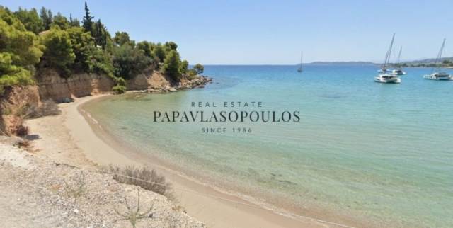 (For Sale) Land Plot out of City plans || Argolida/Kranidi - 4.000 Sq.m, 1.000.000€ 